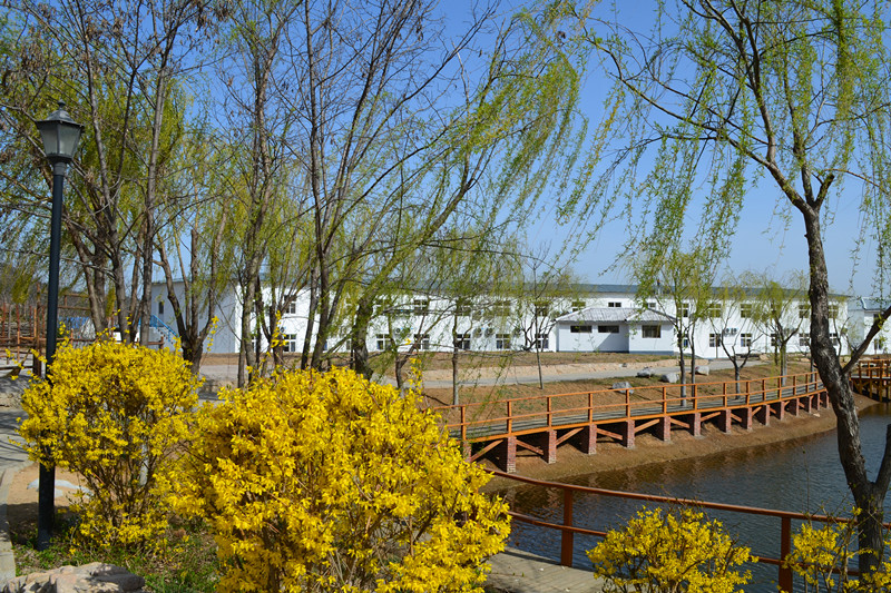 青岛团建基地